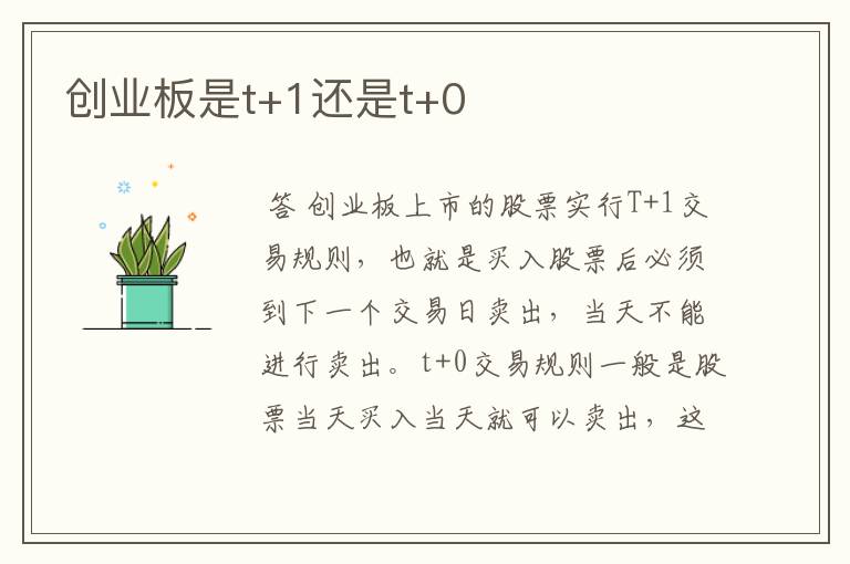 创业板是t+1还是t+0