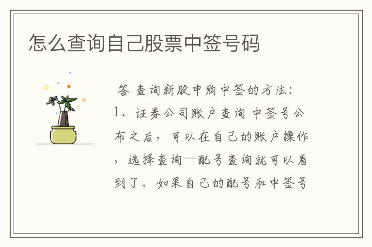 怎么查询自己股票中签号码