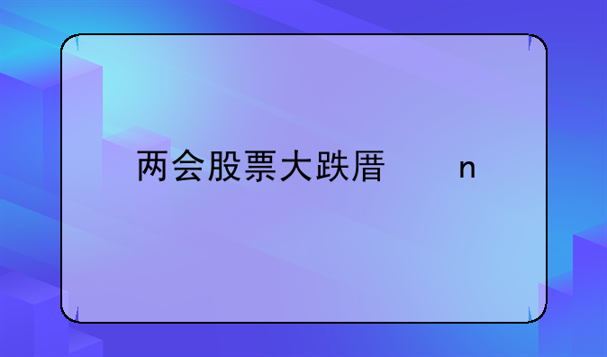 两会股票大跌原因