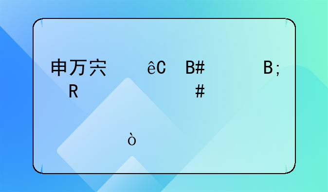 申万宏源合并后用什么股票代码？